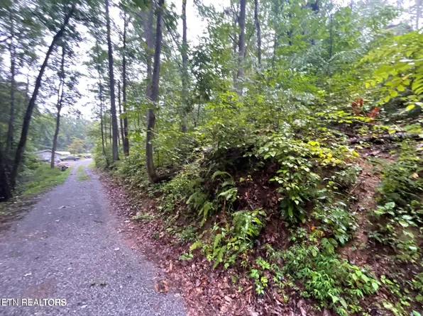 OFC Little Cove Rd, Sevierville, TN 37862