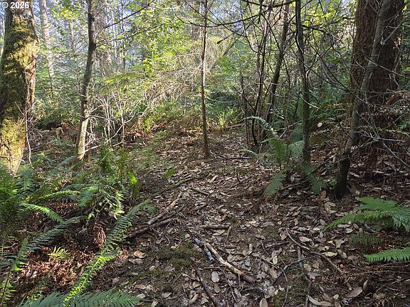 3rd image of Greggs Creek Rd #300