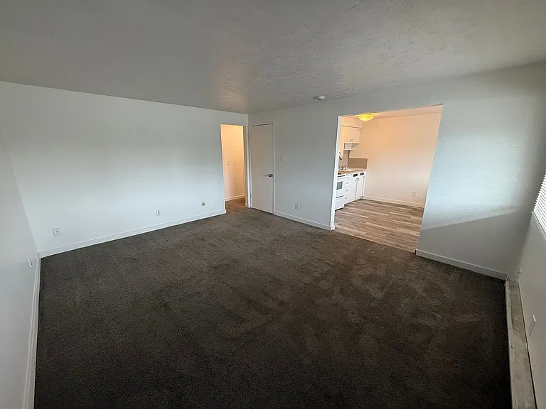911 E Indiana Ave Apartments! — Photo 4