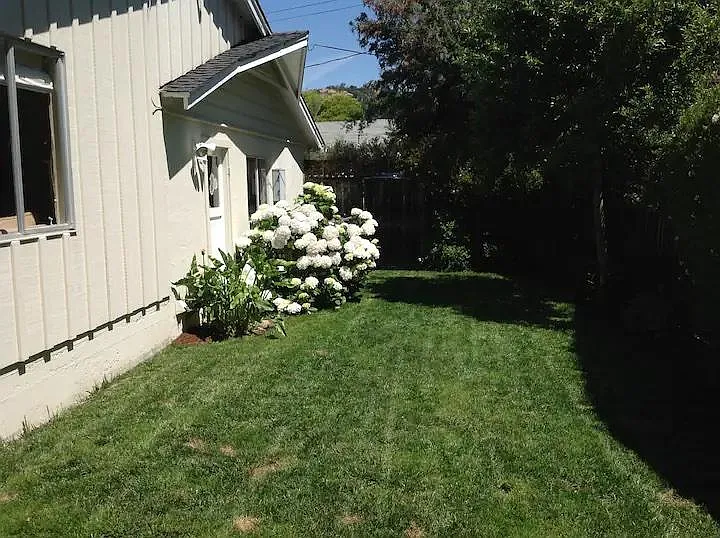 4 Cottonwood Dr — Photo 14