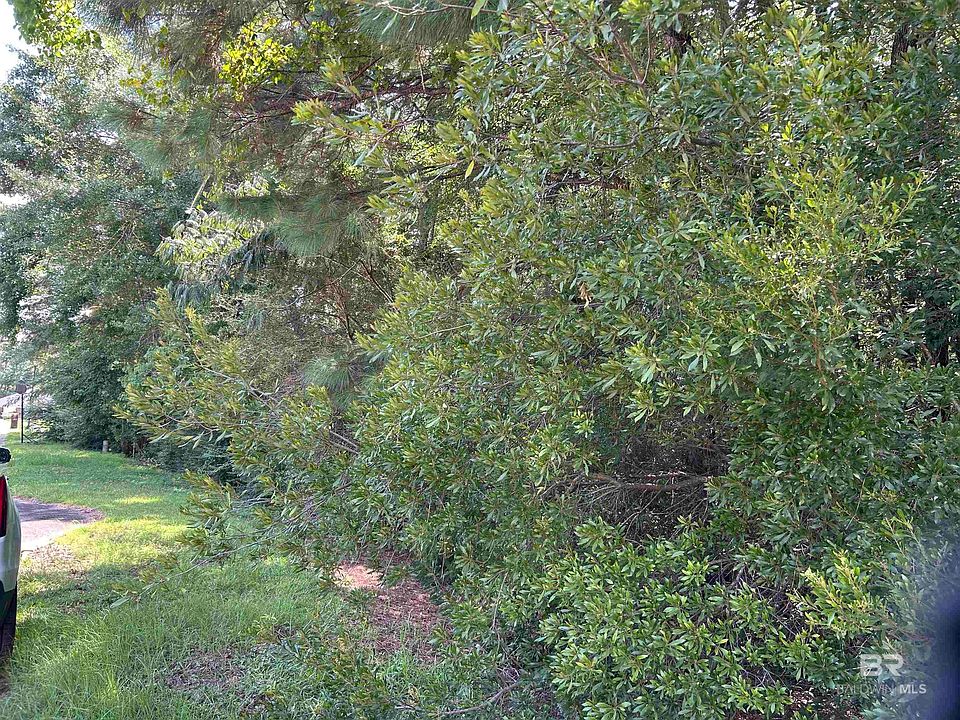2nd image of Sweetbriar Ln #28