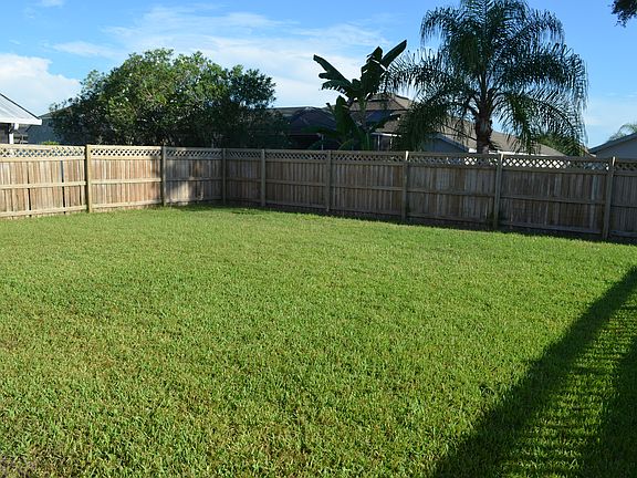 BACKYARD_06292015