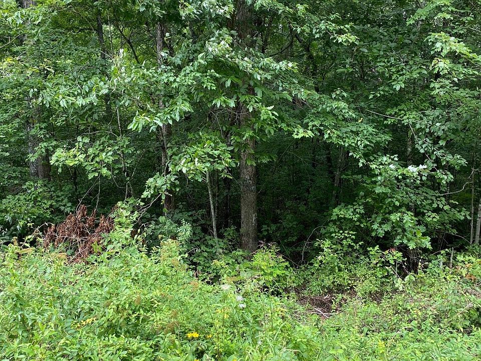 2nd image of Will Wyatt Ct