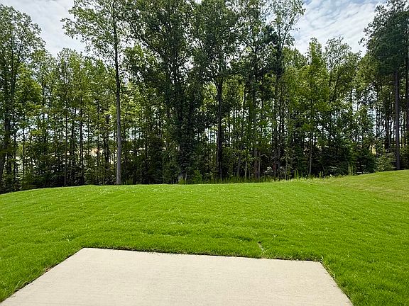 3rd image of 333 Providence Creek Dr