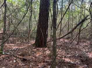 Holmes Langford Rd, Opp, AL 36467