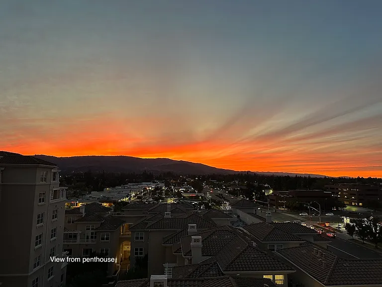 View from penthouse