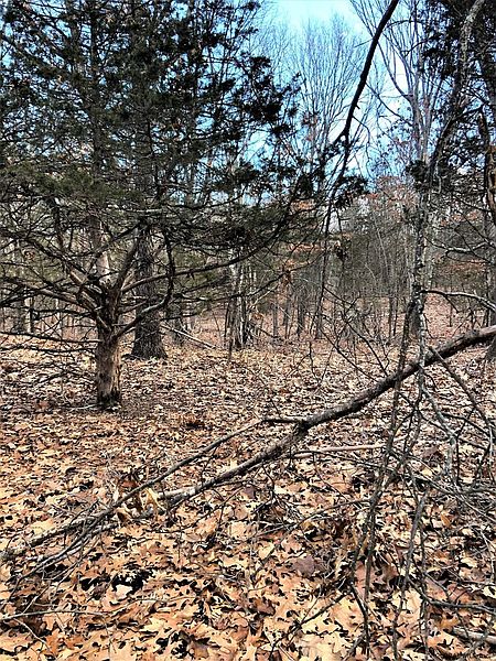 5th image of 573 WILLOWBROOK Road
