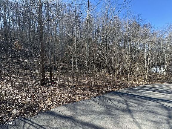 3rd image of 27 Blue Springs Way Lot 27