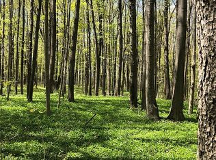 694 State Road 427, Hamilton, IN 46742