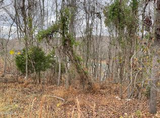 Norris View Ln, La Follette, TN 37766