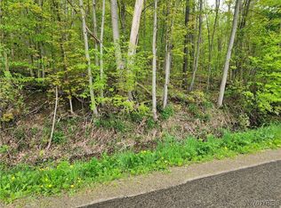 Utley Rd #14, East Otto, NY 14729