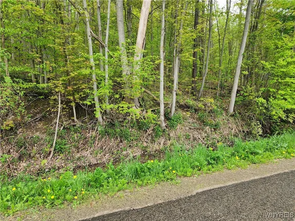 Utley Rd #14, East Otto, NY 14729