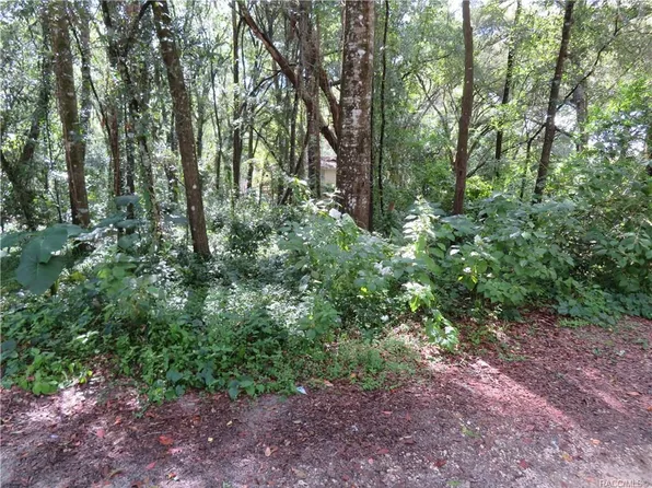 4229 S Plumtree Ter, Inverness, FL 34452