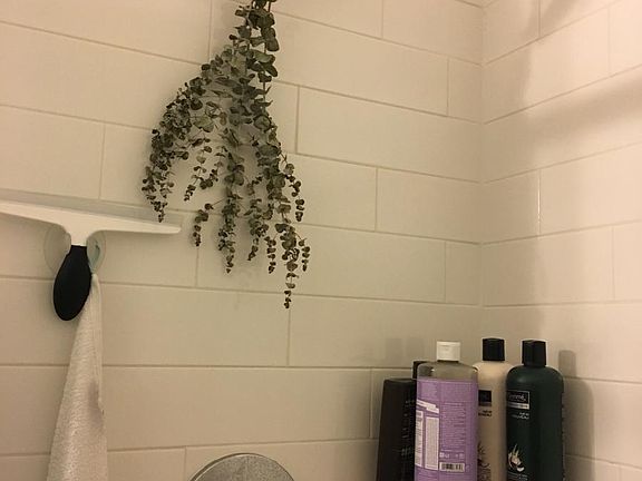 Luxury shower head