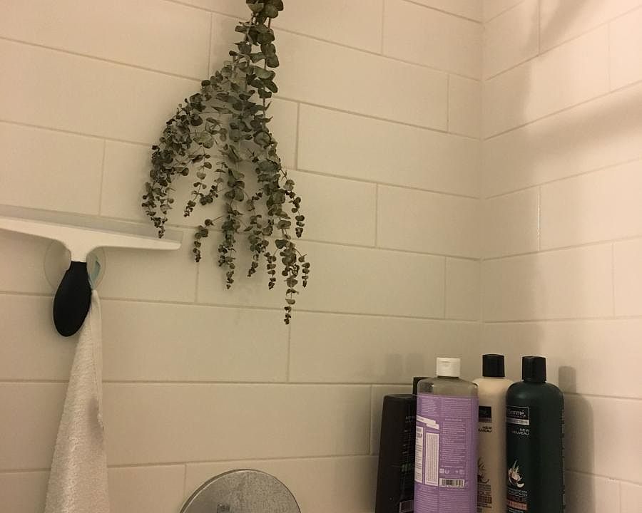 Luxury shower head