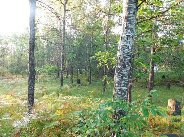 S Horseshoe Trl, Grayling, MI 49738