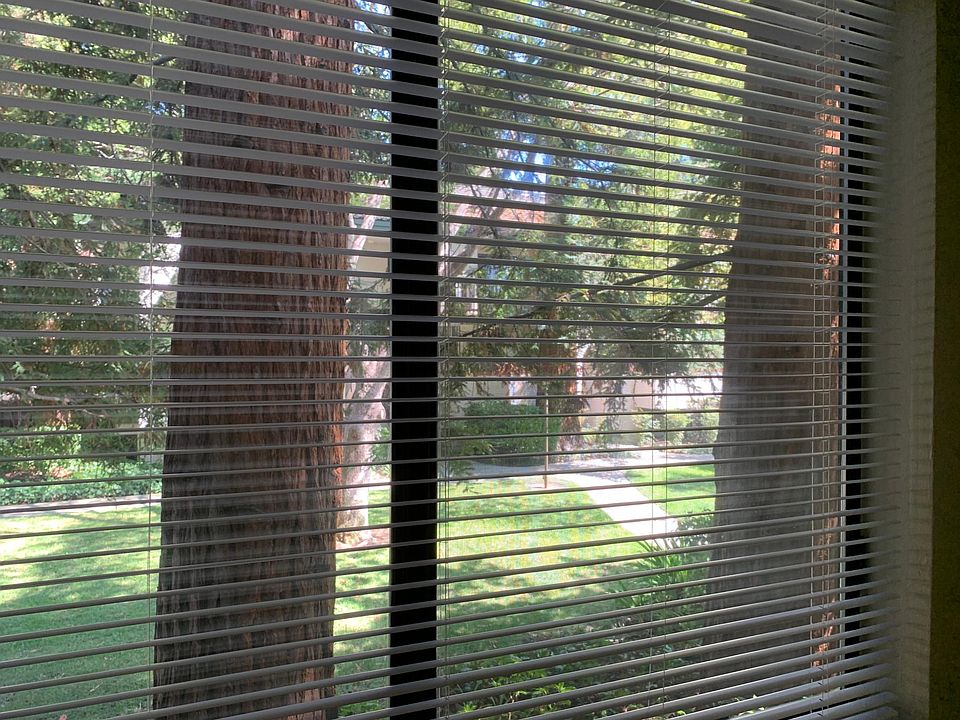 Wooded setting
