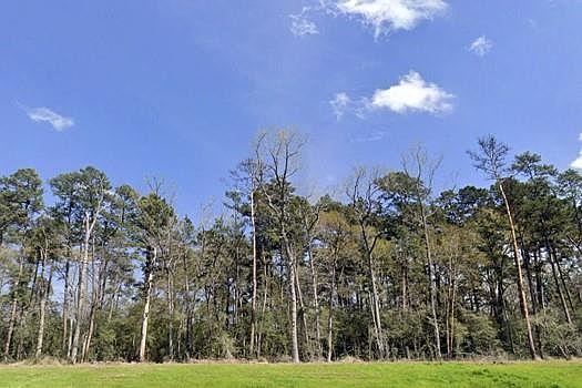 5th image of 156 Longfellow Rd Lot 36