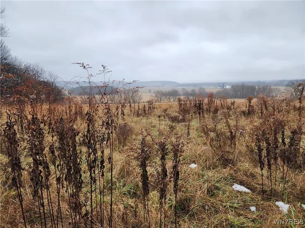 Ball Hill Rd Lot 3, Forestville, NY 14062