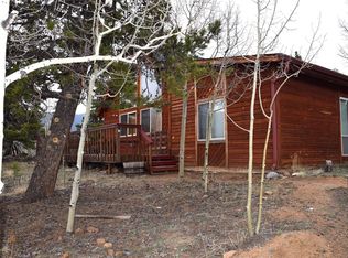 116 Price St, Bailey, CO 80421