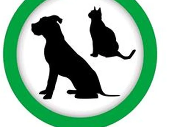 102-10 66th Road image 14 of 14