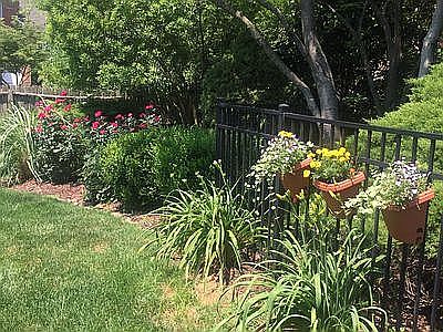 Side Back Yard