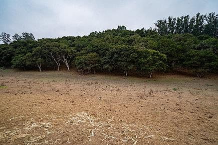 1st image of 18050 Cunha Ln