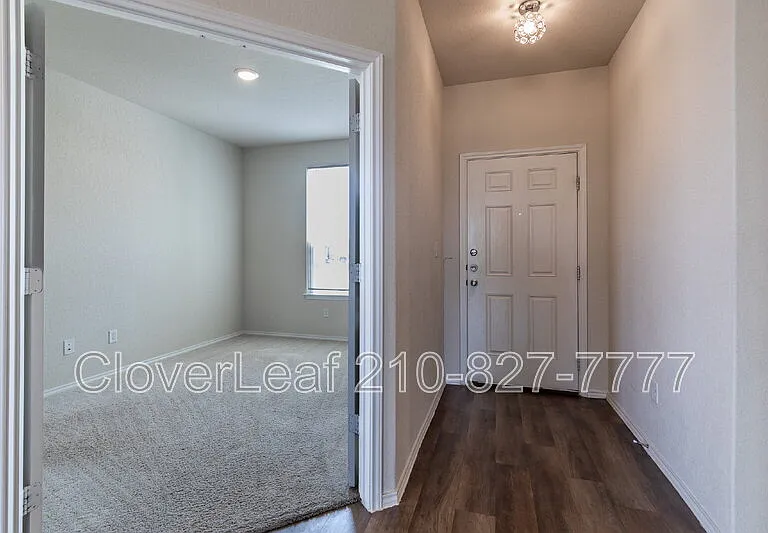 6823 Ashcat — Photo 7