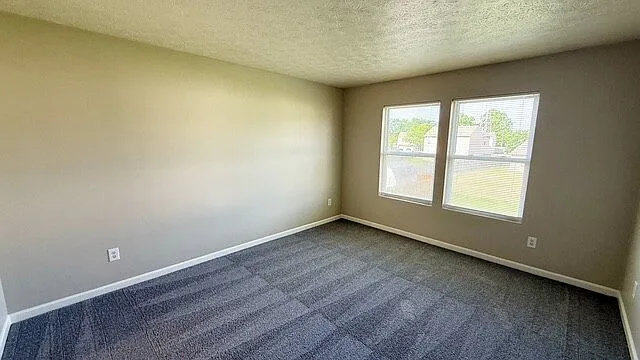 3412 Black Forest Ln — Photo 7