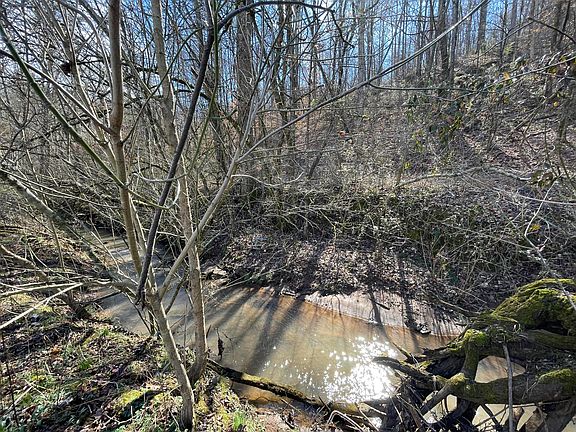3rd image of Burger Branch County Rd #464