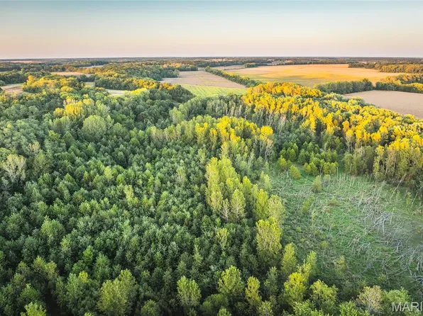 3422 Hagaman Rd, Greenfield, IL 62044