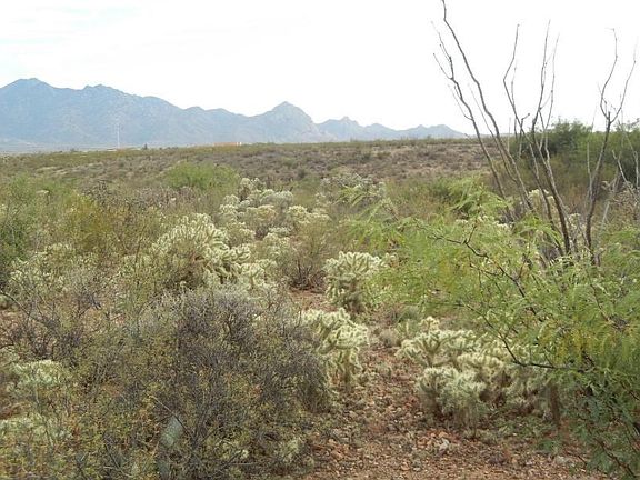 5th image of 1062 E Cave Canyon Pl