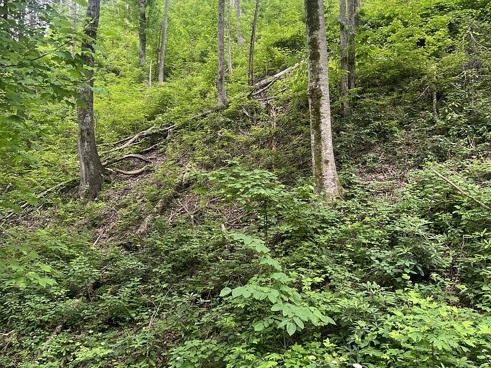 1st image of 536 Deep Hollow Rd Lot 536