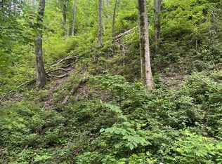536 Deep Hollow Rd LOT 536, Gatlinburg, TN 37738