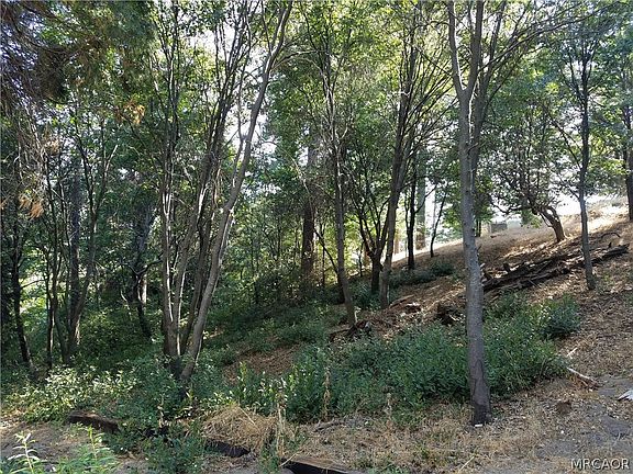 5th image of 24093 Zurich Dr