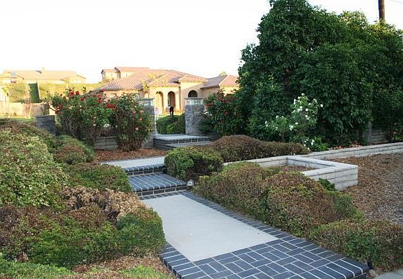 Front yard - towards street