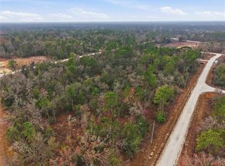 0 Velvet Scoter Ave #12, Brooksville, FL 34614