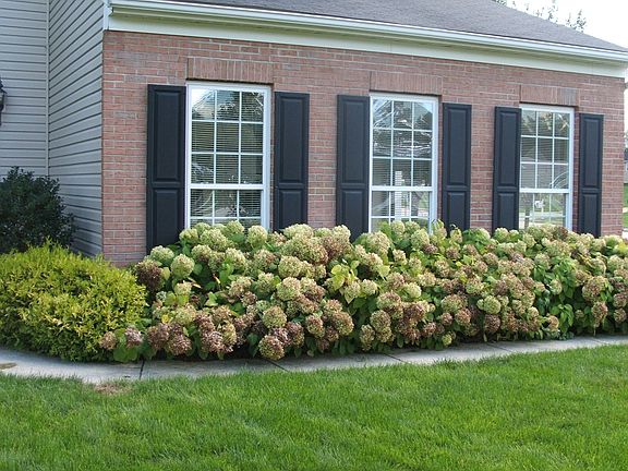 3rd image of 5885 Churchill Way
