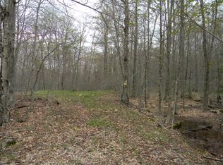 115 Limekiln Lake Rd, Inlet, NY 13360