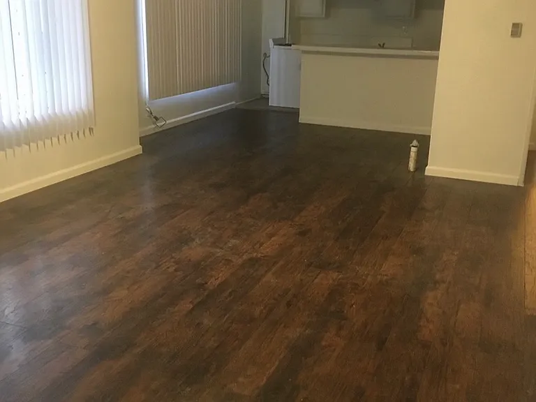 324 N Heliotrope Dr — Photo 6