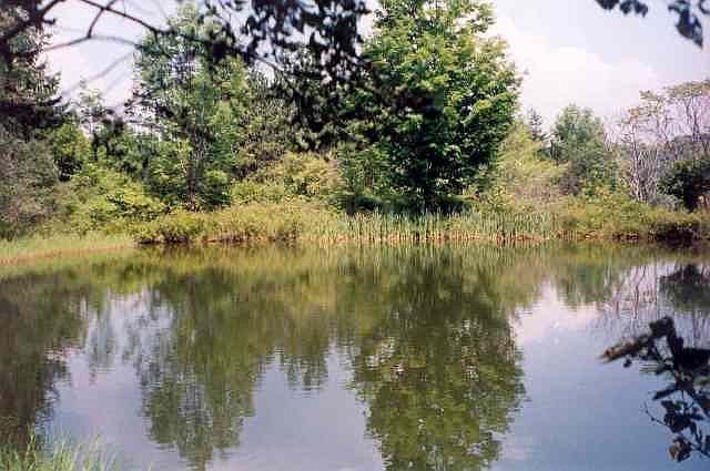 2nd image of 0 RONEY Road