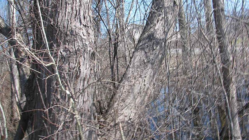 5th image of 00 TOWNSEND Avenue