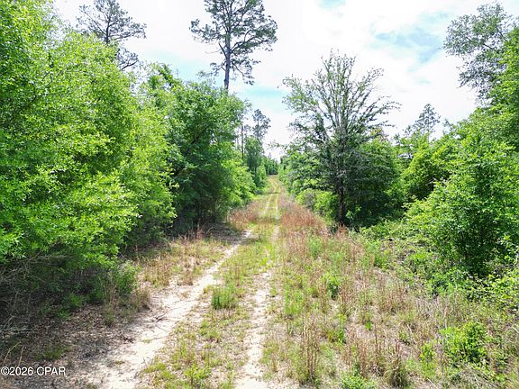 3rd image of Pittman Hill Rd