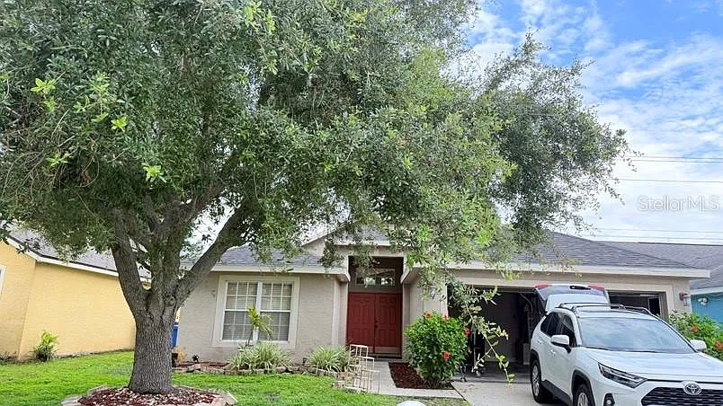 1120 Vinetree Dr