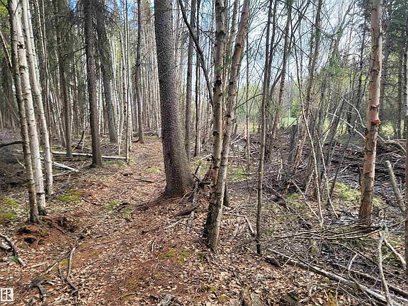 4th image of 624072 Range Rd #241