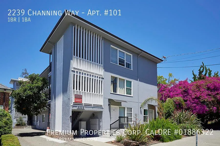 1 bed, 442 sqft, $1,600 — Photo 1