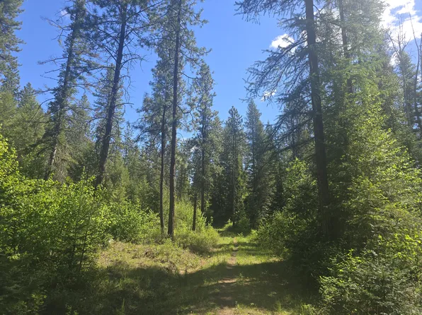36XX Northport Flat Creek Rd, Kettle Falls, WA 99141