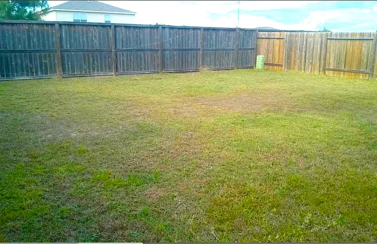 4047 Pedernales River Ln — Photo 38