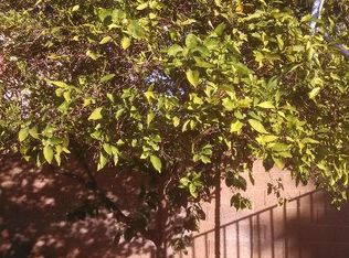 11313 W Emerald Ln, Avondale, AZ 85392