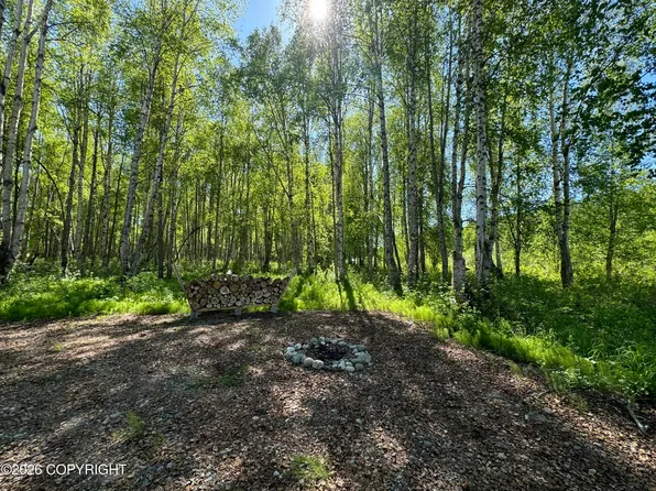 49246 S Hunter Dr, Willow, AK 99688